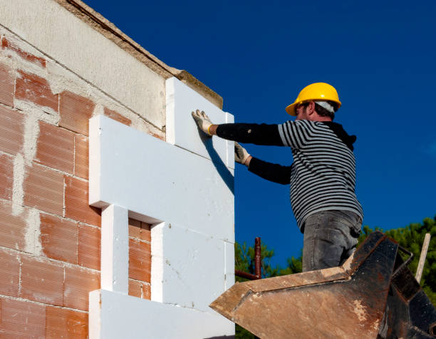 Best Eco-Friendly Insulation in Minerva Park, OH