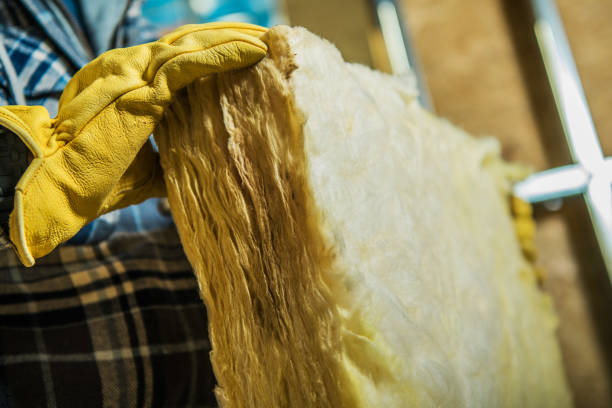 Best DIY Insulation Kits and Guidance in Minerva Park, OH